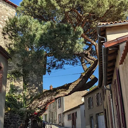 Daire Atypique Avec Wifi Au Coeur De - Fr-1-306-1310 *