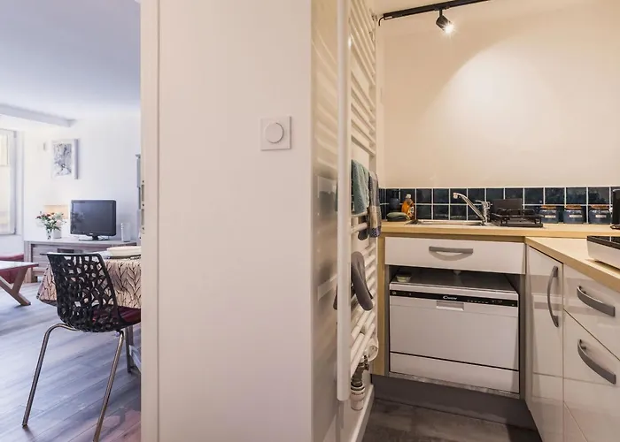 Apartmán Atypique Avec Wifi Au Coeur De - Fr-1-306-1310